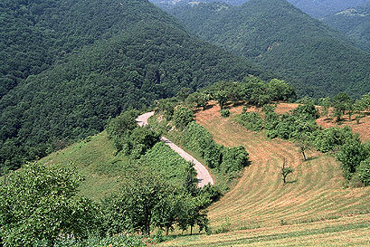 Visoko iznad Boljetina - spust eka potenog nalazaa