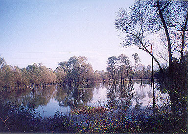 Skadarsko jezero